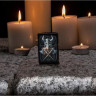 Зажигалка ZIPPO ANNE STOKES 49106
